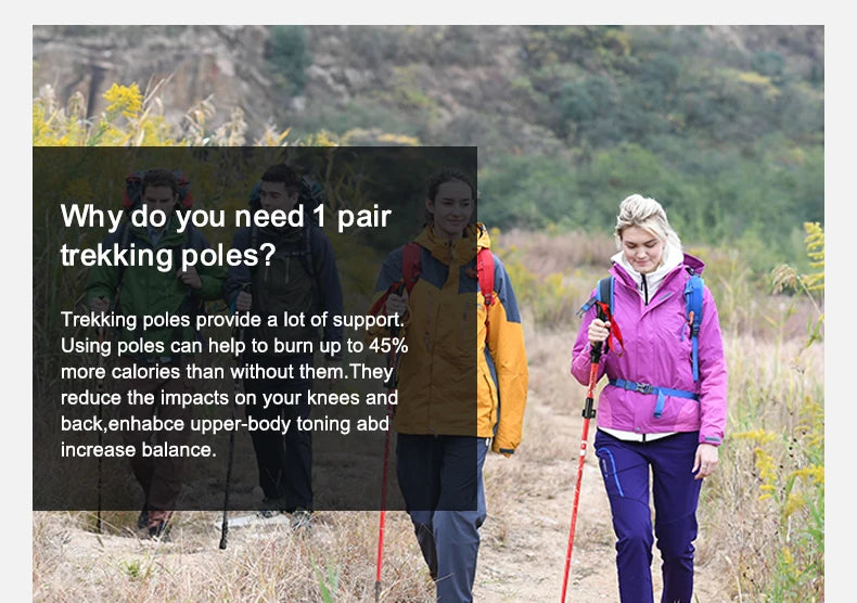 BSWOLF 2PCS Ultralight Trekking Poles