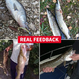 MEREDITH Crazy Shiner II Soft Lure