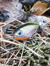 Kingdom GoldPop 35mm 5.4g Topwater Whopper Popper Fishing Lure Pike Fishing Floating Wobbler Artificial Hard Bait with Propeller