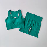 2PCS Women’s Seamless Yoga Set