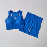 2PCS Women’s Seamless Yoga Set