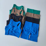 2PCS Women’s Seamless Yoga Set